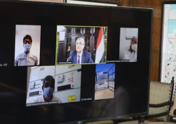 ربط مرسى علم بالشبكة الكهربائية القومية الموحدة