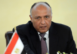 شكري: تعزيز العمل العربي المشترك بات أكثر إلحاحا