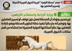 مجلس الوزراء ينفى هدم محطة الزهراء