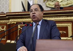 وزير المالية للبرلمان: الدولة تنحاز للمواطن ونسعى للحفاظ على وضعنا الاقتصادى