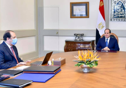 السيسي يوجه باستمرار بذل أقصى الجهد للحفاظ على الأمن وتوفير الأمان