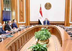 السيسي يبحث تطورات ملف سد النهضة ومستجدات القضية الليبية