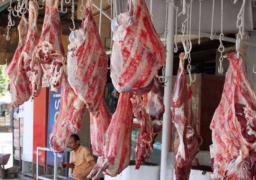 بروتوكول تعاون بين “الأوقاف” و”التموين” لتوفير 400 طن لحوم أضاحي