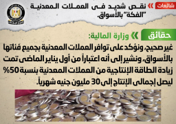الحكومة: لا صحة لوجود نقص شديد في العملات المعدنية “الفكة” بالأسواق