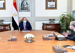 السيسى يوجه بالتحديث الشامل لـ”قها” و”أدفينا” لاستعادة إنتاجهما كأصول وطنية