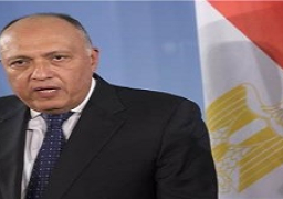 خارجية قبرص: كريستودوليديس وشكرى يبحثان هاتفيا التطورات في المنطقة