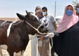 الزراعة: 112 مشروعا صغيرا لتمكين المرأة المعيلة بكفر الشيخ وبني سويف