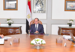 الرئيس عبد الفتاح السيسى يوجه بالتوسع فى تطبيق الميكنة لإنشاء قواعد بيانات تدعم الحوكمة