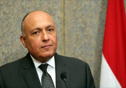 شكرى يبحث هاتفيا مع نظيره التركمانستاني التعاون الثنائي