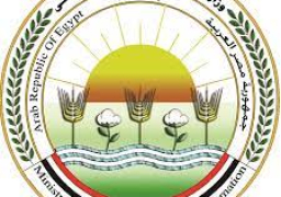 “فاو”: مصر تدير قطاع الحبوب بكفاءة للحفاظ على الأمن الغذائي