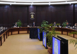 مدبولي يتابع تحويل السيارات للعمل بالغاز وصناعة المركبات الكهربائية