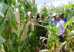 القصير: الـ 6 سنوات الماضية شهدت طفرة في إنشاء المزارع في افريقيا