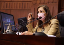 #وزيرة_التخطيط أمام النواب: دستور 2014 تضمن الحقوق الاقتصادية والاجتماعية للمواطنين