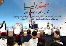 السيسي: مصر لن تقف مكتوفة الأيدي أمام أي تهديد للأمن المصري والليبي