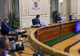 رئيس الوزراء: الإسراع بتطوير صناعة الدواء أصبح ملحا
