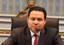 رئيس لجنة الزراعة والري بالنواب: عرض قانون الزراعة الجديد على البرلمان