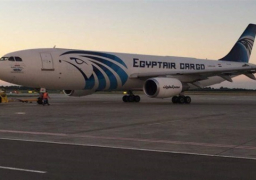 وصول 6 رحلات طيران تقل 930 عاملا مصريا من العالقين بالكويت..اليوم