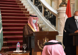 شكرى ونظيره السعودى يؤكدان عمق العلاقات بين البلدين