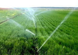 الحكومة :لا صحة للامتناع عن توفير حصص مياه الري اللازمة للزراعات