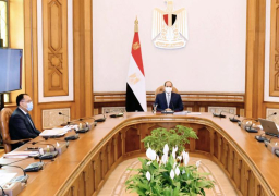 السيسي يوجه بالتركيز على الآفاق المستقبلية لصناعة المركبات الكهربائية والغزل والنسيج وإعادة القطن المصري إلى سابق عهده