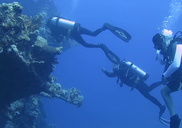 “السياحة” تسلم شهادة السلامة لـ6 مراكز للأنشطة البحرية بجنوب سيناء