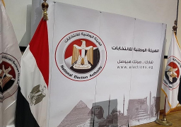 “الوطنية للانتخابات” توضح طريقة تصويت المصريين بالخارج