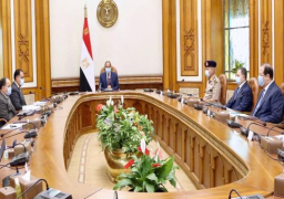 السيسي يستعرض الموقف الإنشائي لمشروع المجمع المتكامل لإصدار الوثائق المؤمنة