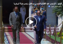 بالفيديو .. الرئيس السيسي يؤكد حرص مصر على تعزيز العلاقات وترسيخ التعاون الاستراتيجي مع إريتريا في شتى المجالات