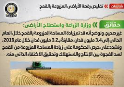 الحكومة : لا صحة لتقليص رقعة الأراضي المزروعة بالقمح