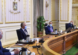 رئيس الوزراء يُتابع الموقف التنفيذى لعدد من المشروعات في قطاعي الزراعة والري في سيناء