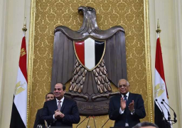 رئيس مجلس النواب يهنئ الرئيس السيسي بذكرى ثورة ٢٣ يوليو