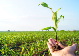 الزراعة: توقيع برتوكول دولي لمساعدة صغار المزراعين في تصدير منتجاتهم