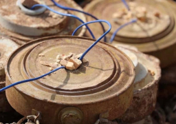 مشروع مركز الملك سلمان للإغاثة “مسام” ينتزع 1.287 لغمًا في اليمن