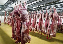 الزراعة : ذبح 6 آلاف ضحية مجانا للمواطنين بالمجازر بأول أيام العيد