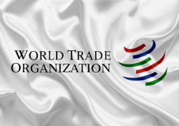 منظمة التجارة العالمية تعلن عدم اتفاق أعضائها على تعيين مدير مؤقت