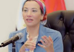 “البيئة”: التغير المناخي يحتاج لتصدر أجندات الدول في ظل جائحة كورونا