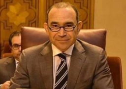 سفيرنا بالمانيا : انتخابات مجلس الشيوخ استحقاق مهم في توقيت استثنائي