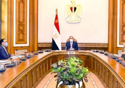 السيسي يوجه بالاستمرار في توفير المناخ الداعم لقطاع الصناعات الوطنية
