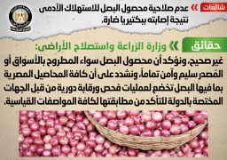 الحكومة تنفى عدم صلاحية البصل للاستهلاك الآدمي لإصابته ببكتيريا ضارة