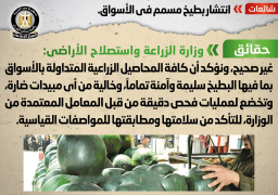 الحكومة تنفي انتشار بطيخ مسمم بالأسواق