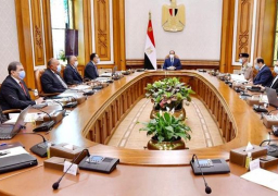 السيسى يوجه بتعزيز التعاون بين مصر والدول الافريقية في مجالات الطاقة