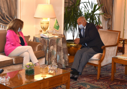 أبو الغيط يبحث مع ستيفاني وليامز سبل دفع جهود تسوية الأزمة الليبية