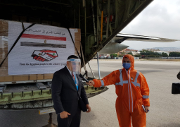 أولى سفن الجسر البحري المصري إلى لبنان تصل غدا إلى بيروت