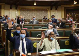 “النواب” يوافق نهائيا على مشروع قانون لتغليظ عقوبة سرقة الكهرباء