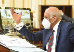 عبدالعال:اقتراح منع وصول قطارات الوجه القبلي لمحطة القاهرة يخفف التكدس