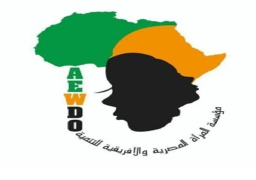 أنشطة متنوعة لمؤسسة المرأة المصرية والأفريقية للتنمية