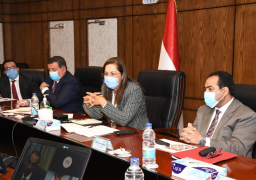 السعيد:مصر قدمت أداءً جيدًا فى كل القطاعات والمستويات خلال أزمة كورونا