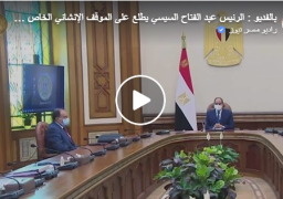 بالفيديو : الرئيس السيسي يوجه بالالتزام بتطبيق أحدث المعايير الإنشائية والتكنولوجية في العاصمة الإدارية الجديدة