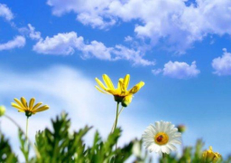 انخفاض طفيف بدرجات الحرارة اليوم وطقس رطب بالقاهرة والعظمى 35 درجة