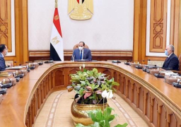 الرئيس عبد الفتاح السيسى يوجه بتعظيم المميزات التفضيلية للقطاع الزراعى فى مصر